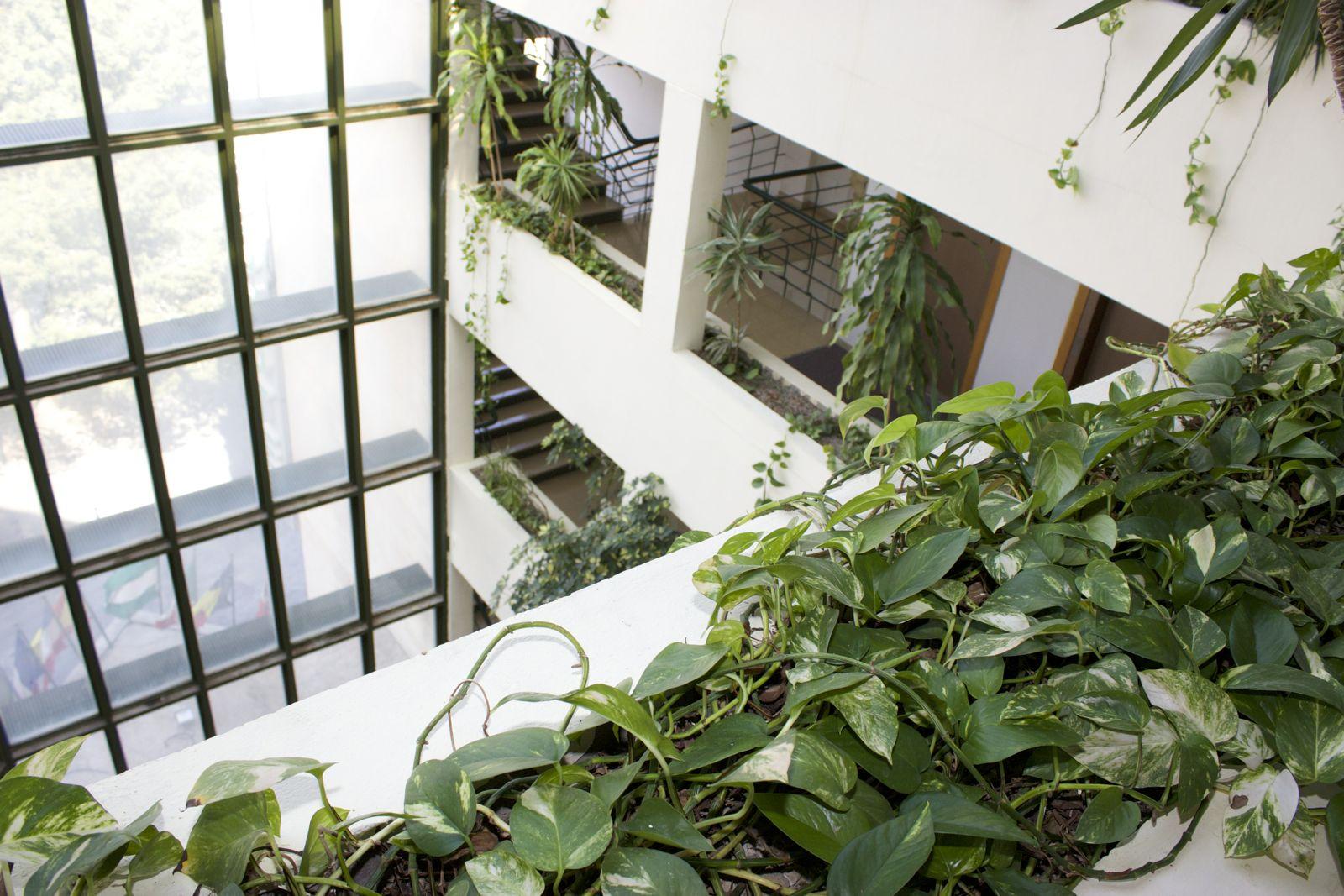 Ejido Hotel El Ejido Ngoại thất bức ảnh